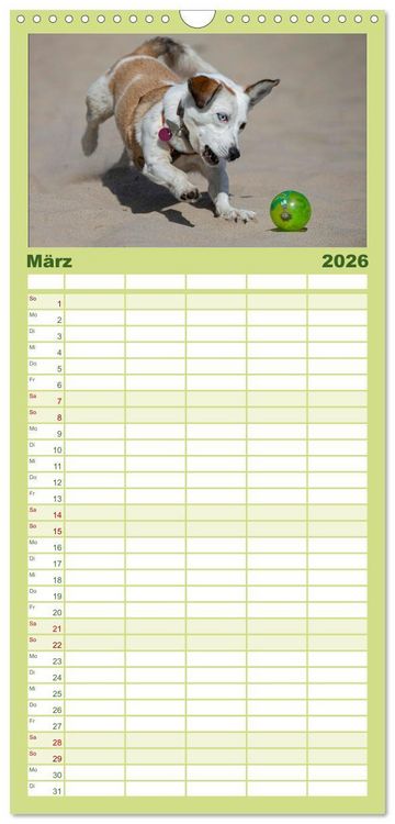 Produktbild: Familienplaner 2026 - Hunde Action mit 5 Spalten (Wandkalender, 21 x 45 cm) CALVENDO