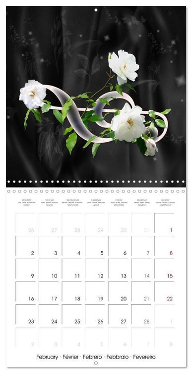 Produktbild: Sheer joy (Wall Calendar 2026 12 &times; 12 Inch) CALVENDO 12 Month Wall Calendar