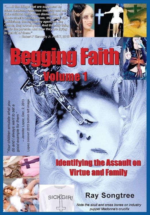 Produktbild: Begging Faith (Vol. 1, Lipstick and War Crimes Series)