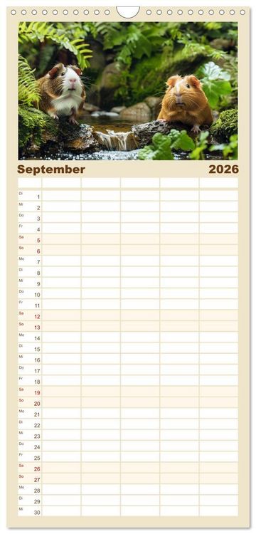 Produktbild: Familienplaner 2026 - Wuschelbande - Ein Jahr voller Meerschweinchen mit 5 Spalten (Wandkalender, 21 x 45 cm) CALVENDO