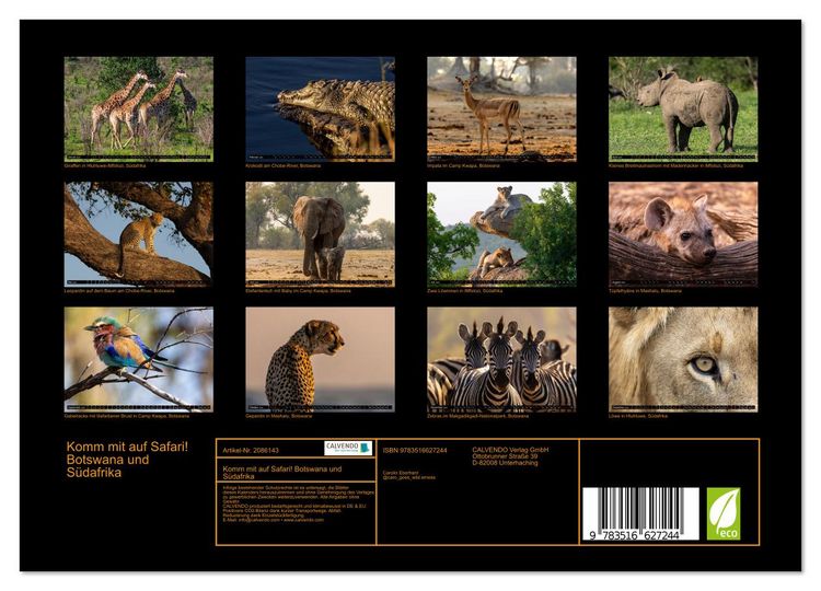 Produktbild: Komm mit auf Safari! Botswana und S&uuml;dafrika (Wandkalender 2026 DIN A4 quer), CALVENDO Monatskalender