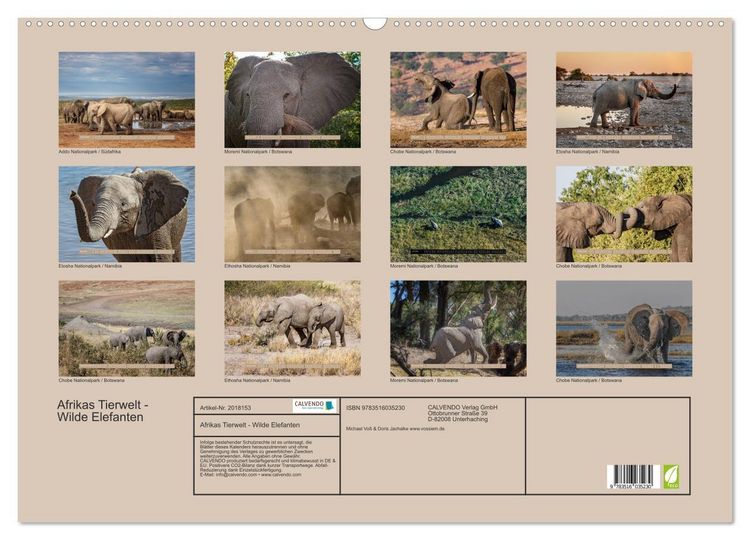 Produktbild: Afrikas Tierwelt - Wilde Elefanten (Wandkalender 2026 DIN A2 quer), CALVENDO Monatskalender