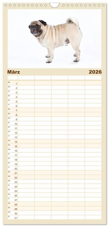 Produktbild: Familienplaner 2026 - Mops - unwiderstehlich und charmant mit 5 Spalten (Wandkalender, 21 x 45 cm) CALVENDO