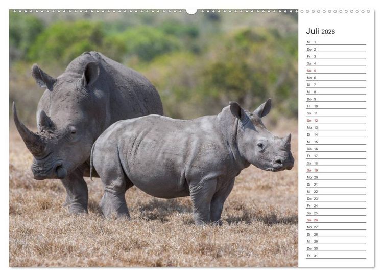 Produktbild: Emotionale Momente: Nash&ouml;rner (hochwertiger Premium Wandkalender 2026 DIN A2 quer), Kunstdruck in Hochglanz