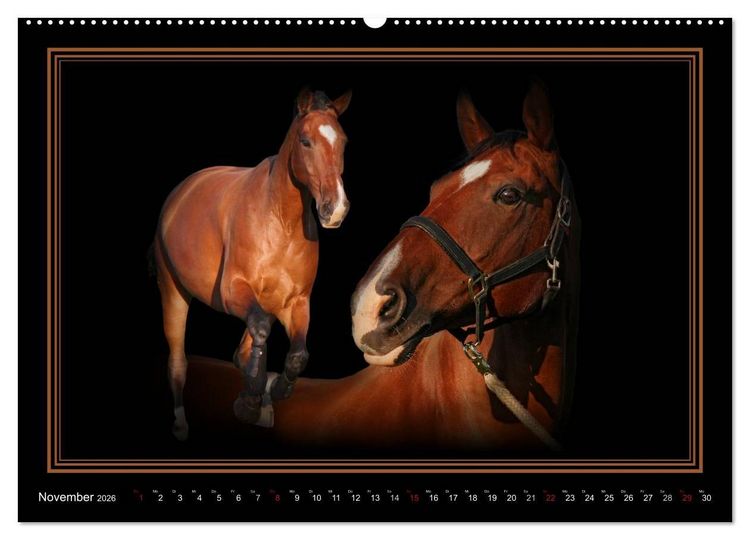 Produktbild: Traumpferde-ART-Collection (hochwertiger Premium Wandkalender 2026 DIN A2 quer), Kunstdruck in Hochglanz