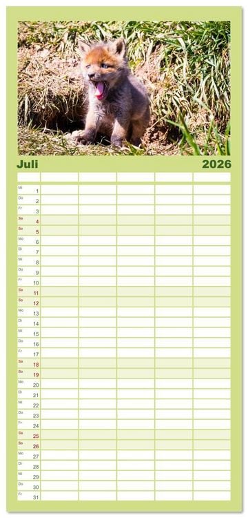 Produktbild: Familienplaner 2026 - Verspielte Fuchswelpen - Allein zu Haus' mit 5 Spalten (Wandkalender, 21 x 45 cm) CALVENDO