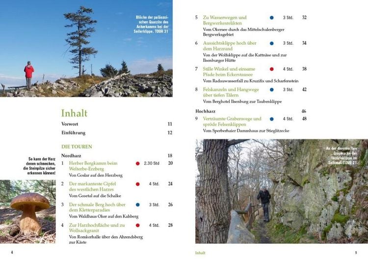 Produktbild: Vergessene Pfade Harz
