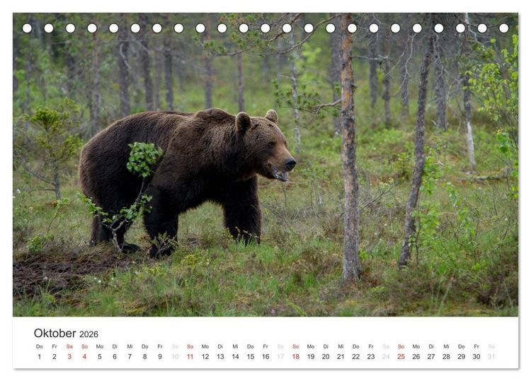 Produktbild: Naturparadies Finnland (Tischkalender 2026 DIN A5 quer), CALVENDO Monatskalender