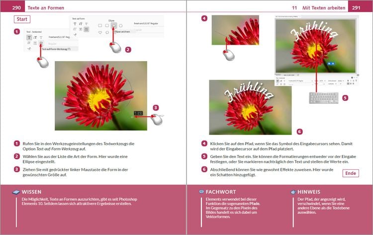 Produktbild: Photoshop Elements 2025 - Bild f&uuml;r Bild erkl&auml;rt