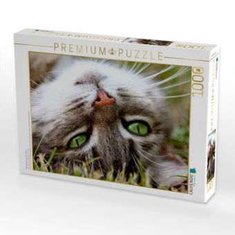 Produktbild: Nahaufnahme einer Katze (Puzzle)
