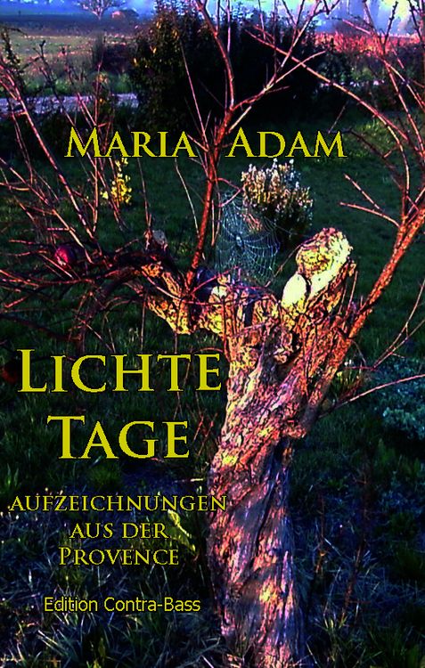 Produktbild: Lichte Tage