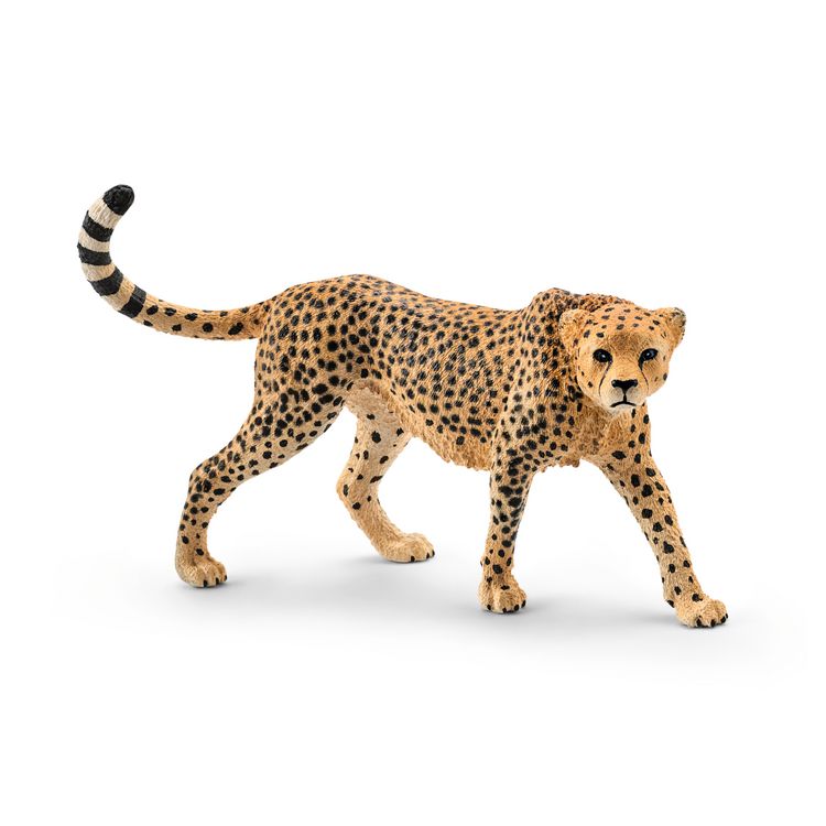 Produktbild: schleich&reg; 14746 Gepardin