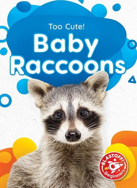 Produktbild: Baby Raccoons