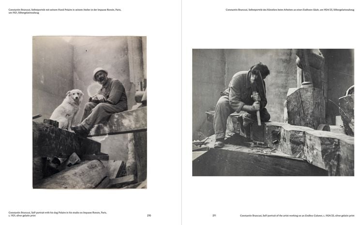 Produktbild: Brancusi