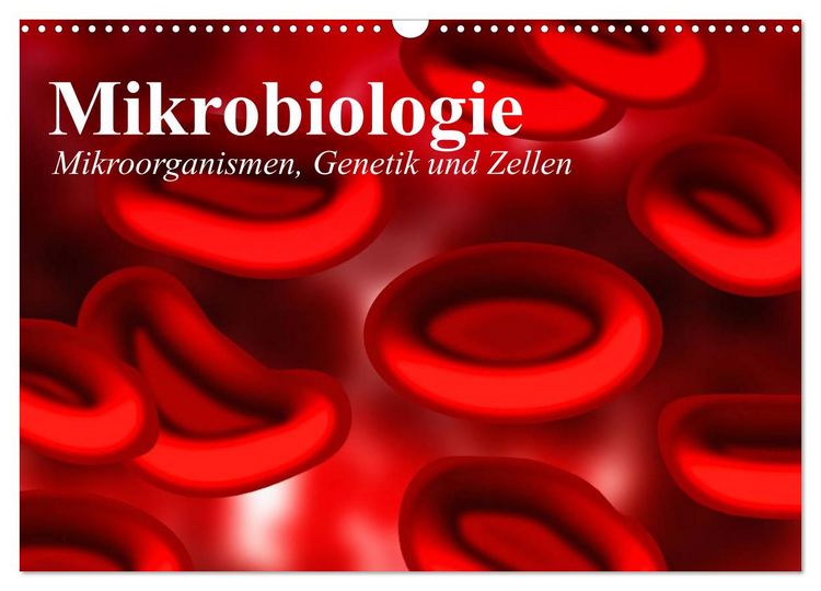 Produktbild: Mikrobiologie. Mikroorganismen, Genetik und Zellen (Wandkalender 2026 DIN A3 quer), CALVENDO Monatskalender