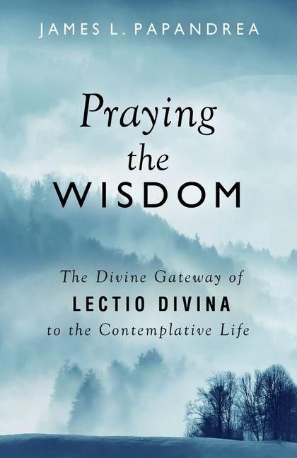 Produktbild: Praying the Wisdom