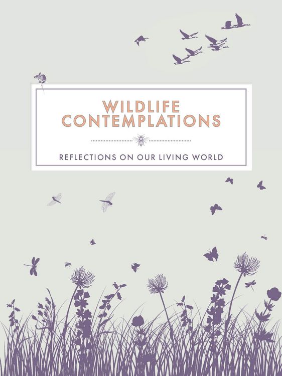 Produktbild: Wildlife Contemplations