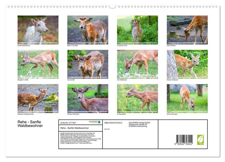 Produktbild: Rehe - Sanfte Waldbewohner (hochwertiger Premium Wandkalender 2026 DIN A2 quer), Kunstdruck in Hochglanz