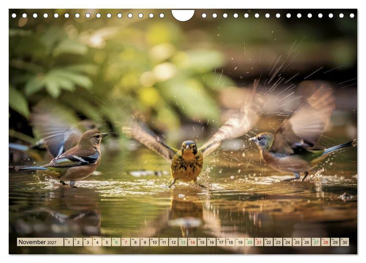 Produktbild: Farbenfrohe Singv&ouml;gel beim Baden (Wandkalender 2027 DIN A4 quer), CALVENDO Monatskalender