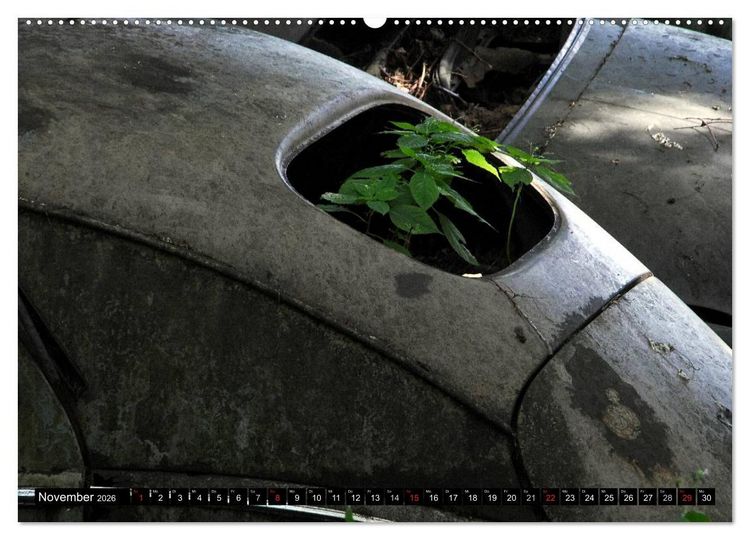 Produktbild: Autowracks - rostende Liebe (Wandkalender 2026 DIN A2 quer), CALVENDO Monatskalender
