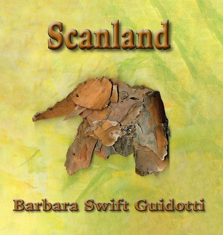 Produktbild: Scanland