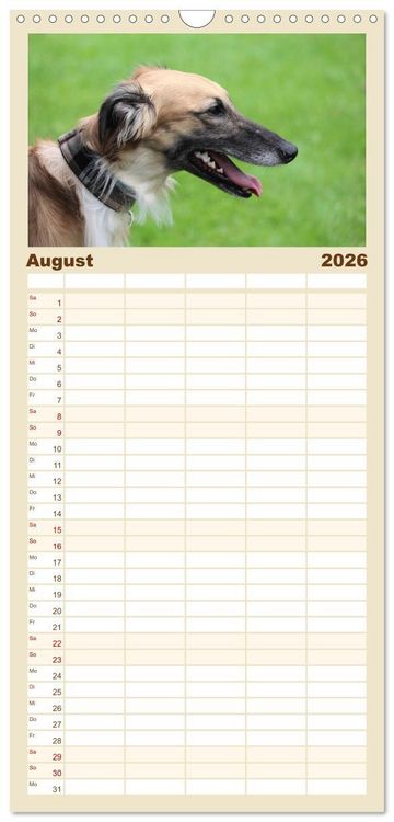Produktbild: Familienplaner 2026 - Der Silken Windsprite - ein Seelenhund mit 5 Spalten (Wandkalender, 21 x 45 cm) CALVENDO
