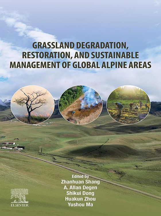 Produktbild: Grassland Degradation, Restoration, and Sustainable Management of Global Alpine Areas