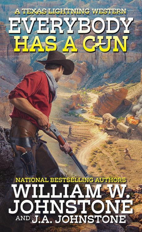 Produktbild: Everybody Has a Gun