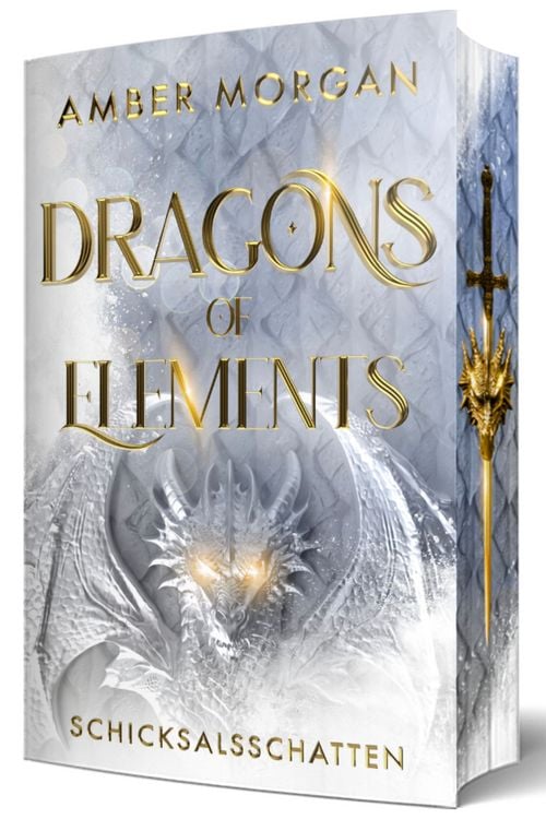 Produktbild: Dragons of Elements