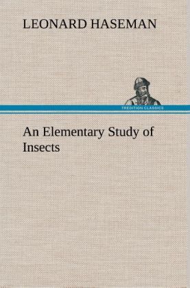 Produktbild: An Elementary Study of Insects