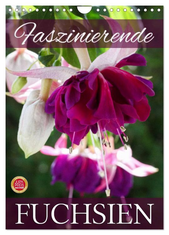 Produktbild: Faszinierende Fuchsien (Wandkalender 2026 DIN A4 hoch), CALVENDO Monatskalender