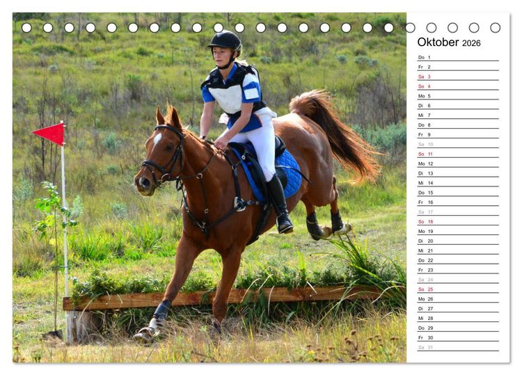 Produktbild: Mein Reitsport Kalender (Tischkalender 2026 DIN A5 quer), CALVENDO Monatskalender