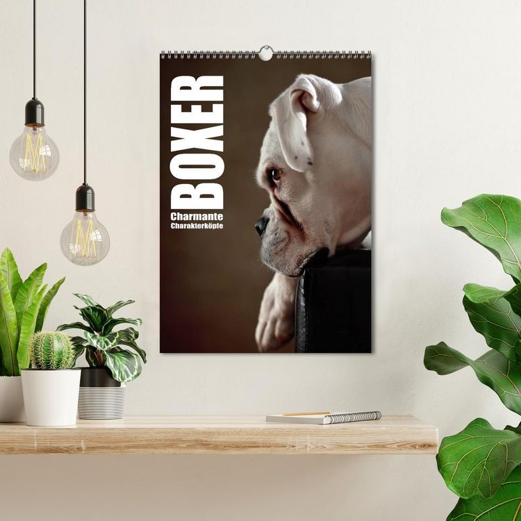 Produktbild: Boxer - Charmante Charakterk&ouml;pfe (Wandkalender 2026 DIN A3 hoch), CALVENDO Monatskalender