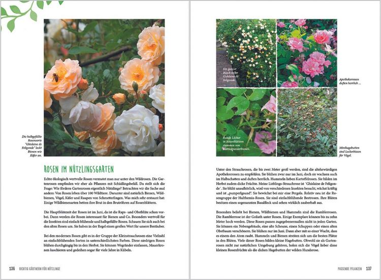 Produktbild: MDR Garten - Richtig g&auml;rtnern f&uuml;r N&uuml;tzlinge