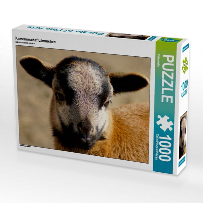 Produktbild: CALVENDO Puzzle Kamerunschaf L&auml;mmchen | 1000 Teile Lege-Gr&ouml;&szlig;e 64x48cm Foto-Puzzle f&uuml;r gl&uuml;ckliche Stunden