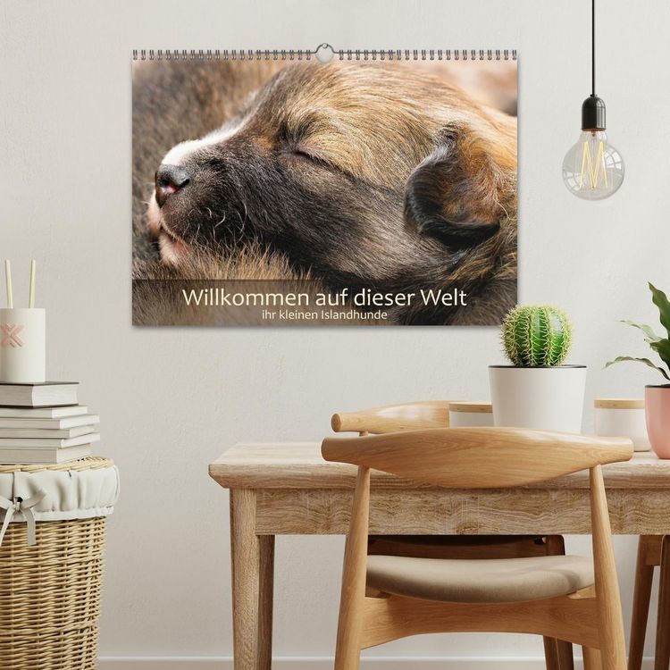 Produktbild: Willkommen auf dieser Welt ihr kleinen Islandhunde (Wandkalender 2027 DIN A3 quer), CALVENDO Monatskalender
