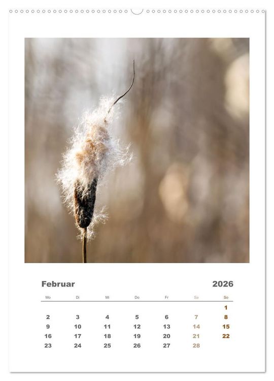Produktbild: Minimalistisch, Gr&auml;ser, Bl&uuml;ten, Bl&auml;tter und Zweige im Fokus (Wandkalender 2026 DIN A2 hoch), CALVENDO Monatskalender