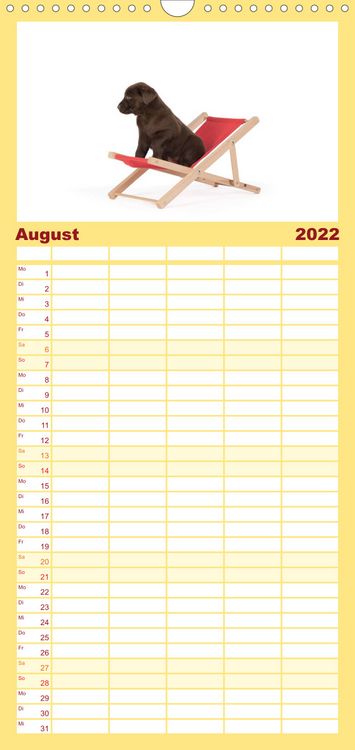 Produktbild: Familienplaner Labrador - Welpen (Wandkalender 2022 , 21 cm x 45 cm, hoch)