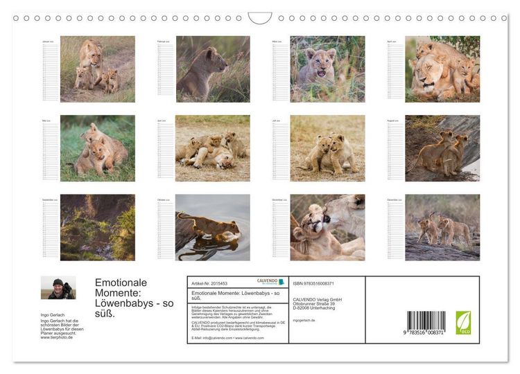 Produktbild: Emotionale Momente: L&ouml;wenbabys - so s&uuml;&szlig;. (Wandkalender 2026 DIN A3 quer), CALVENDO Monatskalender