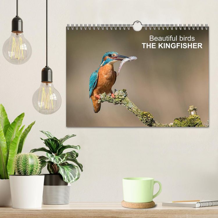 Produktbild: Beautiful birds THE KINGFISHER (Wall Calendar 2026 DIN A4 landscape), CALVENDO 12 Month Wall Calendar