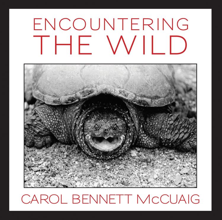 Produktbild: Encountering the Wild