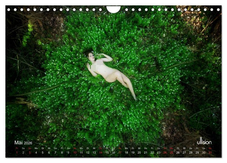 Produktbild: ZAUBERWALD Mystik der Natur (Wandkalender 2026 DIN A4 quer), CALVENDO Monatskalender