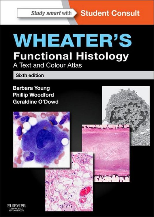 Produktbild: Wheater's Functional Histology E-Book