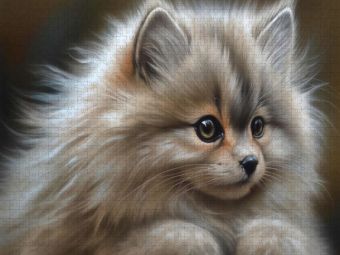 Produktbild: CALVENDO Puzzle Ein Motiv aus dem Kalender Zauberhafte Fluffies | 2000 Teile Lege-Gr&ouml;&szlig;e 90x67cm Foto-Puzzle f&uuml;r gl&uuml;ckliche Stunden