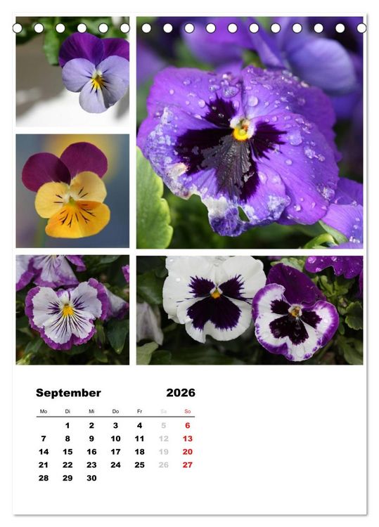 Produktbild: Bl&uuml;ten Collagen (Tischkalender 2026 DIN A5 hoch), CALVENDO Monatskalender