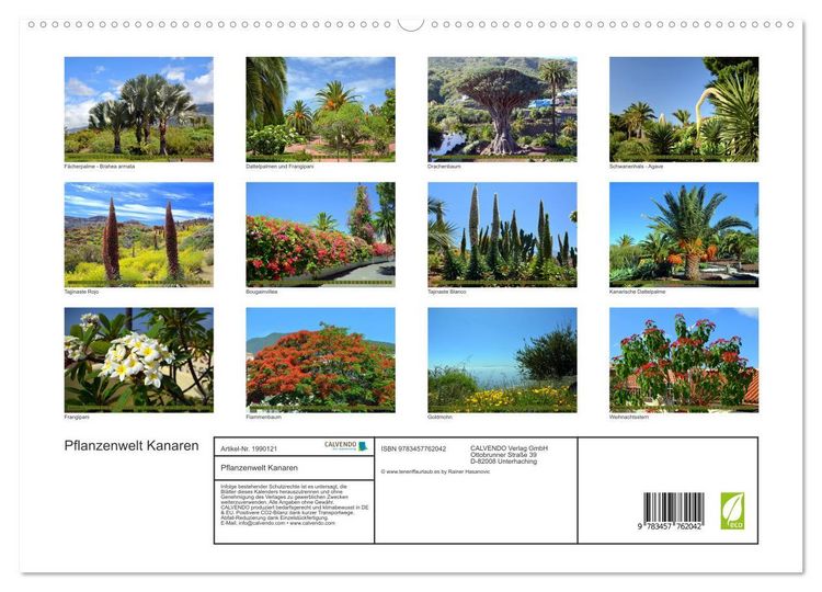 Produktbild: Pflanzenwelt Kanaren (hochwertiger Premium Wandkalender 2026 DIN A2 quer), Kunstdruck in Hochglanz