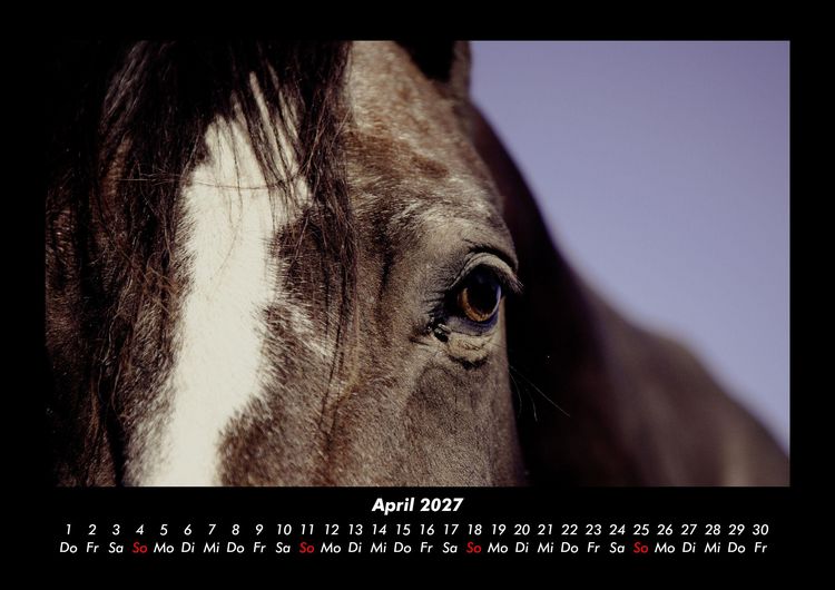 Produktbild: Pferdegefl&uuml;ster 2027 Fotokalender DIN A3