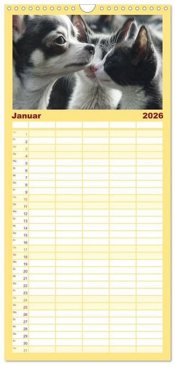 Produktbild: Familienplaner 2026 - Hund und Katze - Tierische Freunde mit 5 Spalten (Wandkalender, 21 x 45 cm) CALVENDO