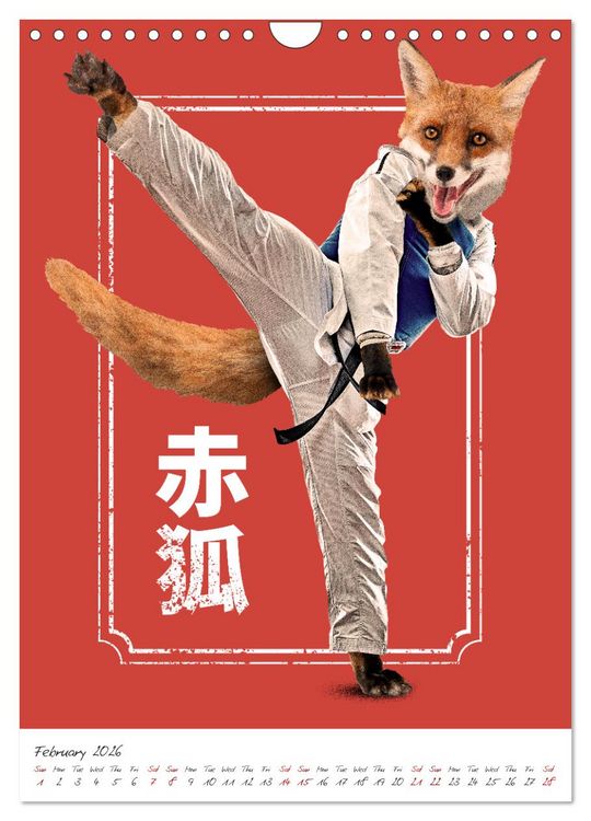 Produktbild: Crazy animal fighters (Wall Calendar 2026 DIN A4 portrait), CALVENDO 12 Month Wall Calendar