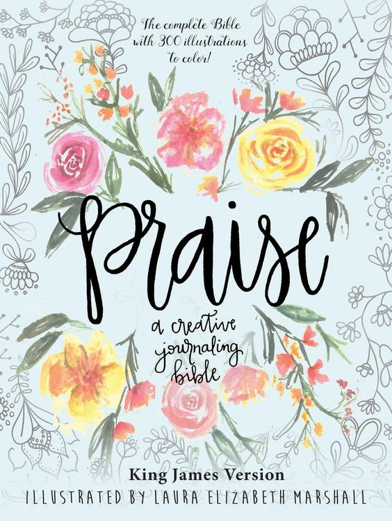 Produktbild: Praise: A Creative Journaling Bible